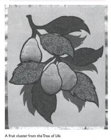 A fruit cluster from the Tree of Life
