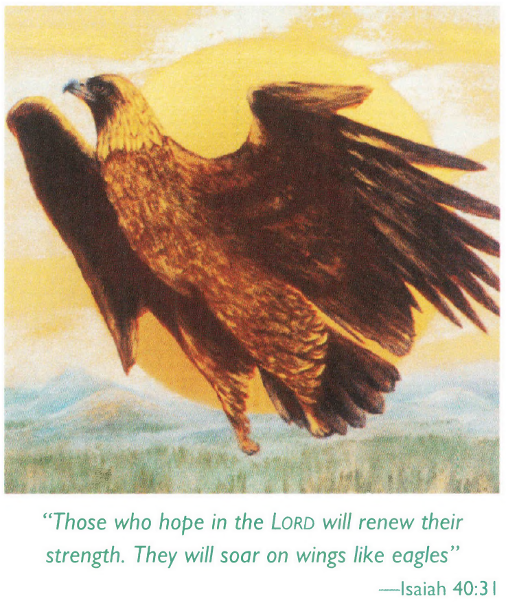 Boeve Eagle