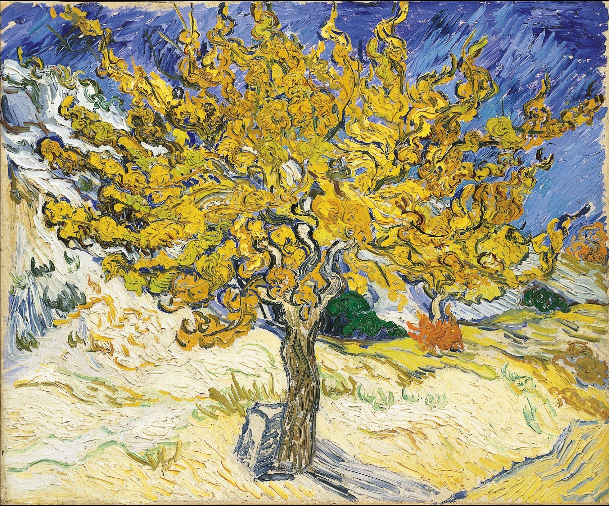 Vincent Van Gogh Mulberry Tree