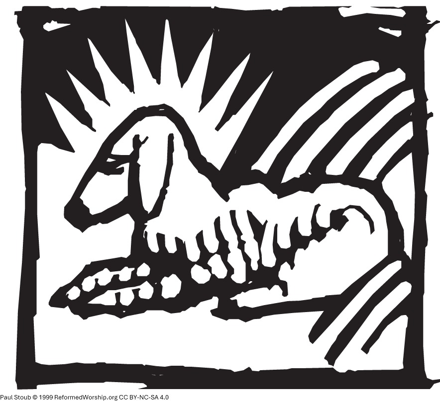 The Lamb