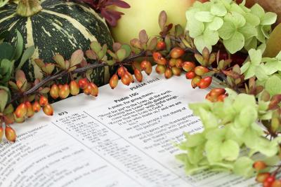 Psalm 100 open bible
