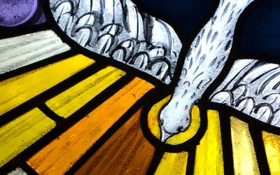 Pentecost dove