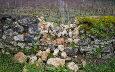 Rock wall, crumbling in the middle with vineyard in background