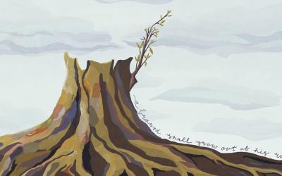 The stump of Jesse