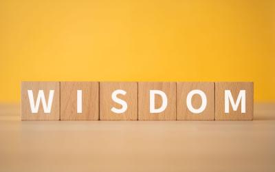 WISDOM on wood blocks