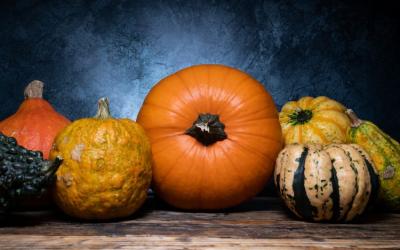 pumpkins