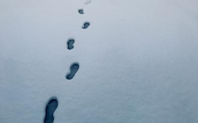 Footprints in Snow