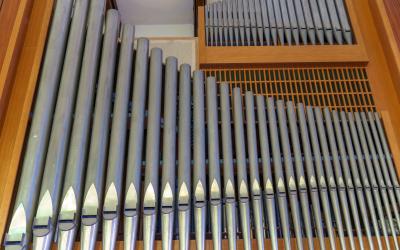 Organ Pipes