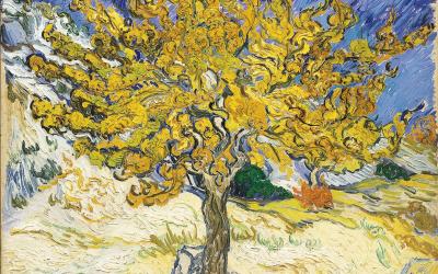 Vincent Van Gogh Mulberry Tree