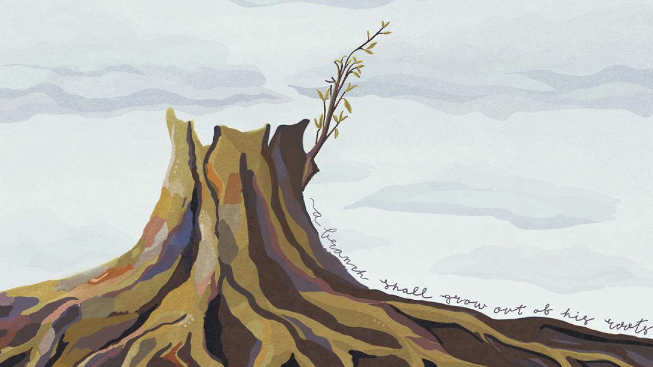 The stump of Jesse