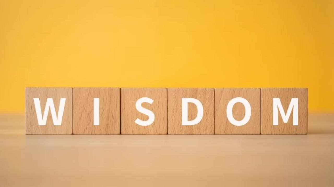WISDOM on wood blocks