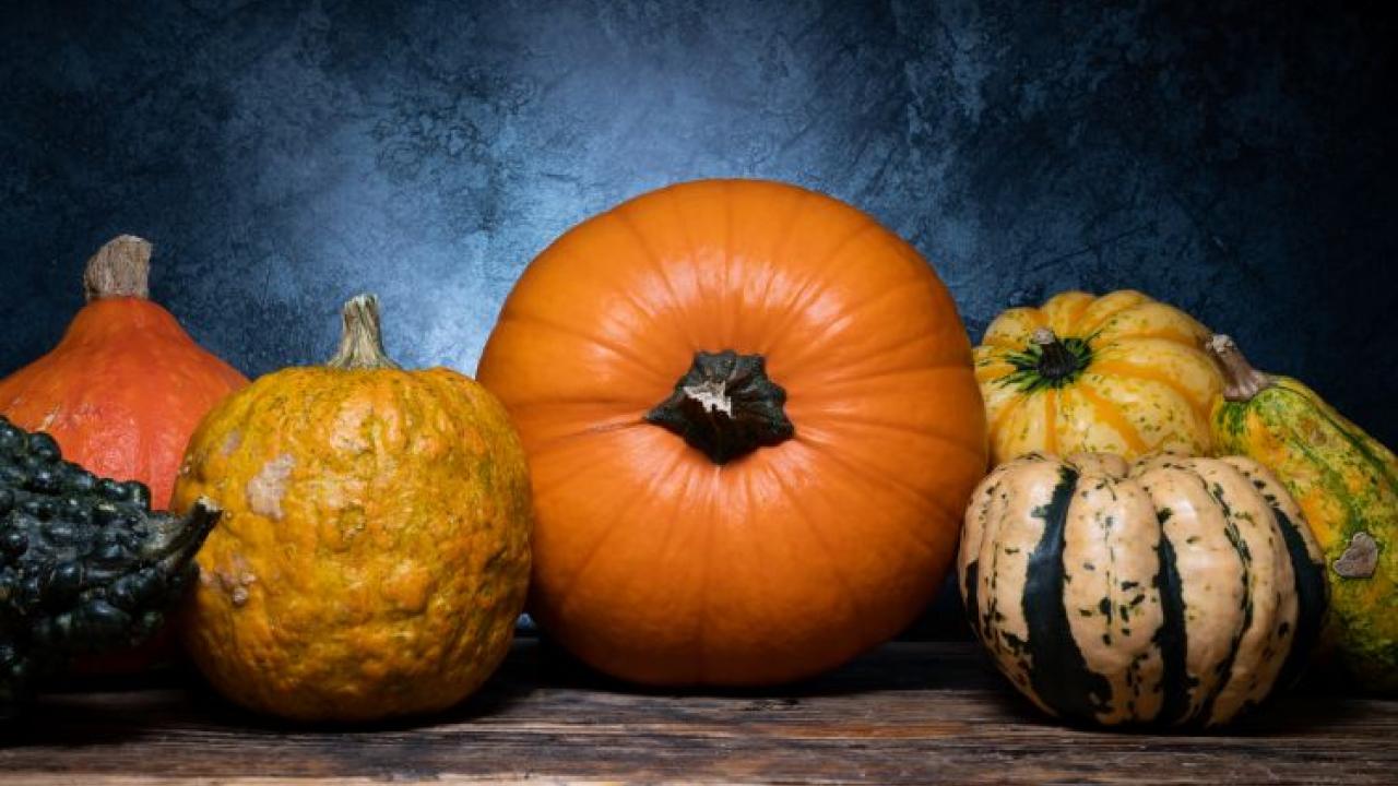 pumpkins