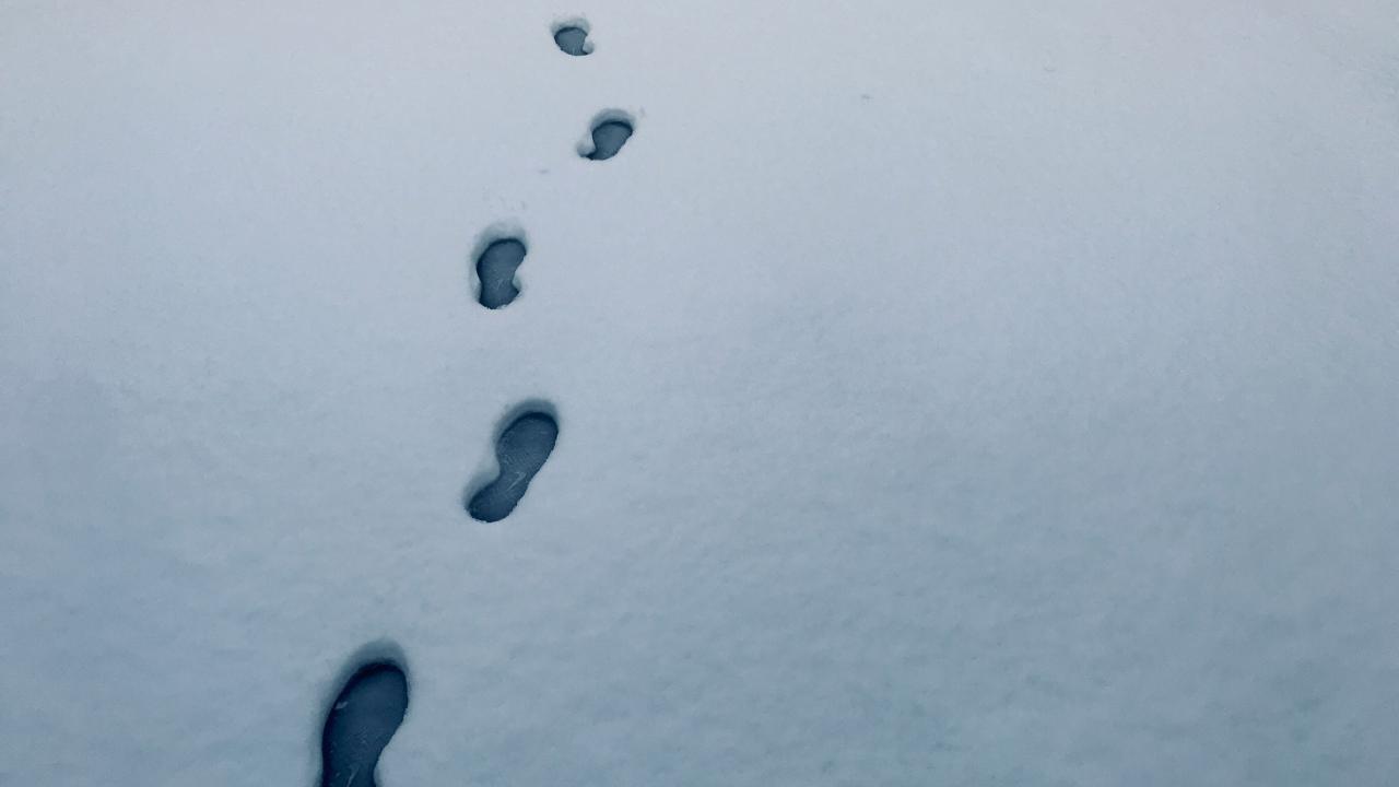 Footprints in Snow