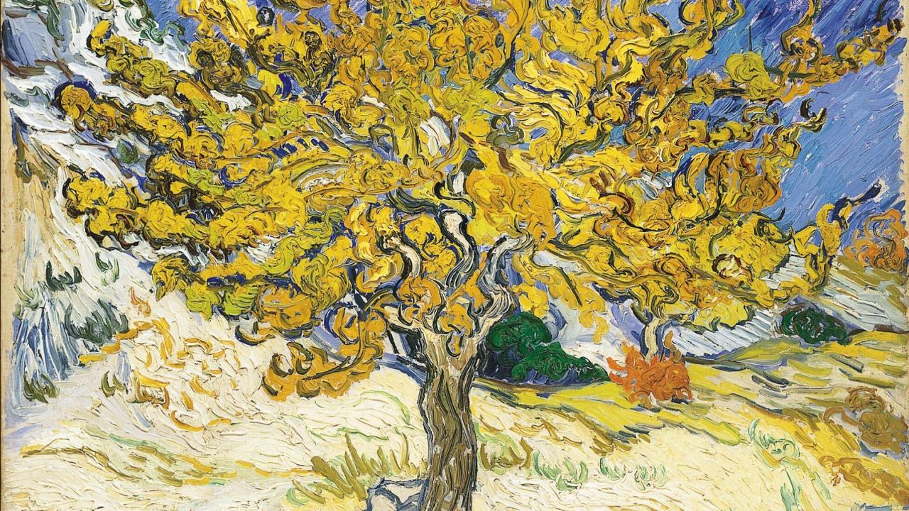 Vincent Van Gogh Mulberry Tree