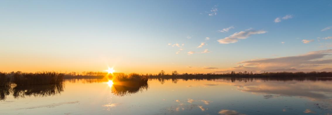 DykgraafCreationImage