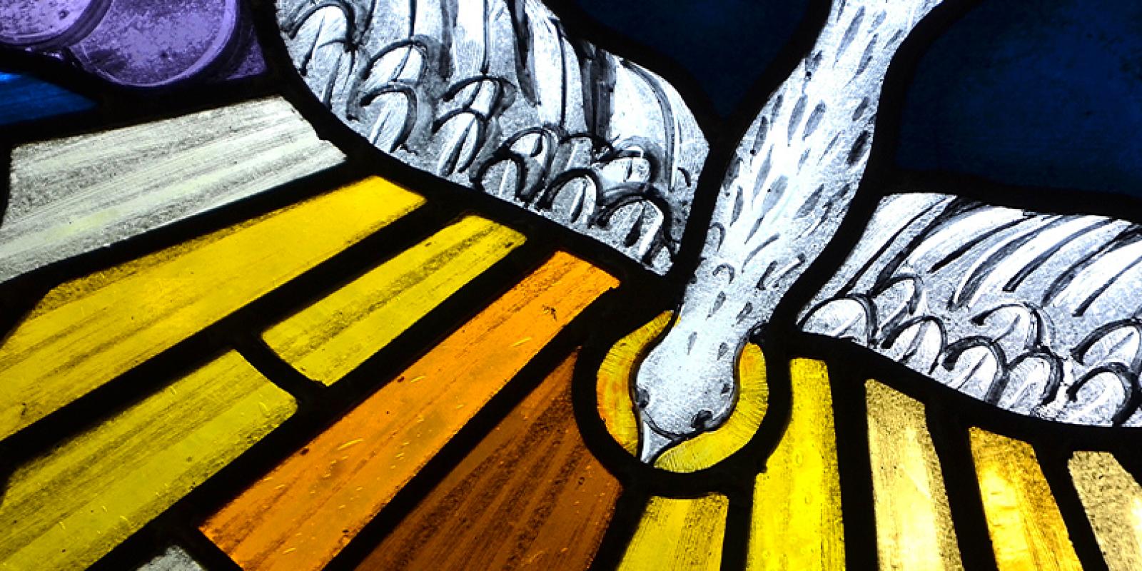 Pentecost dove