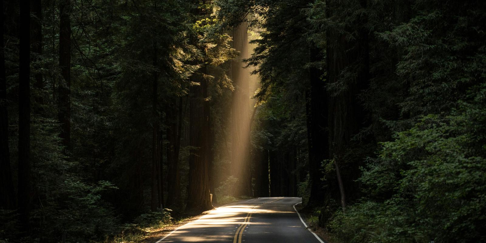 Sunlight on road