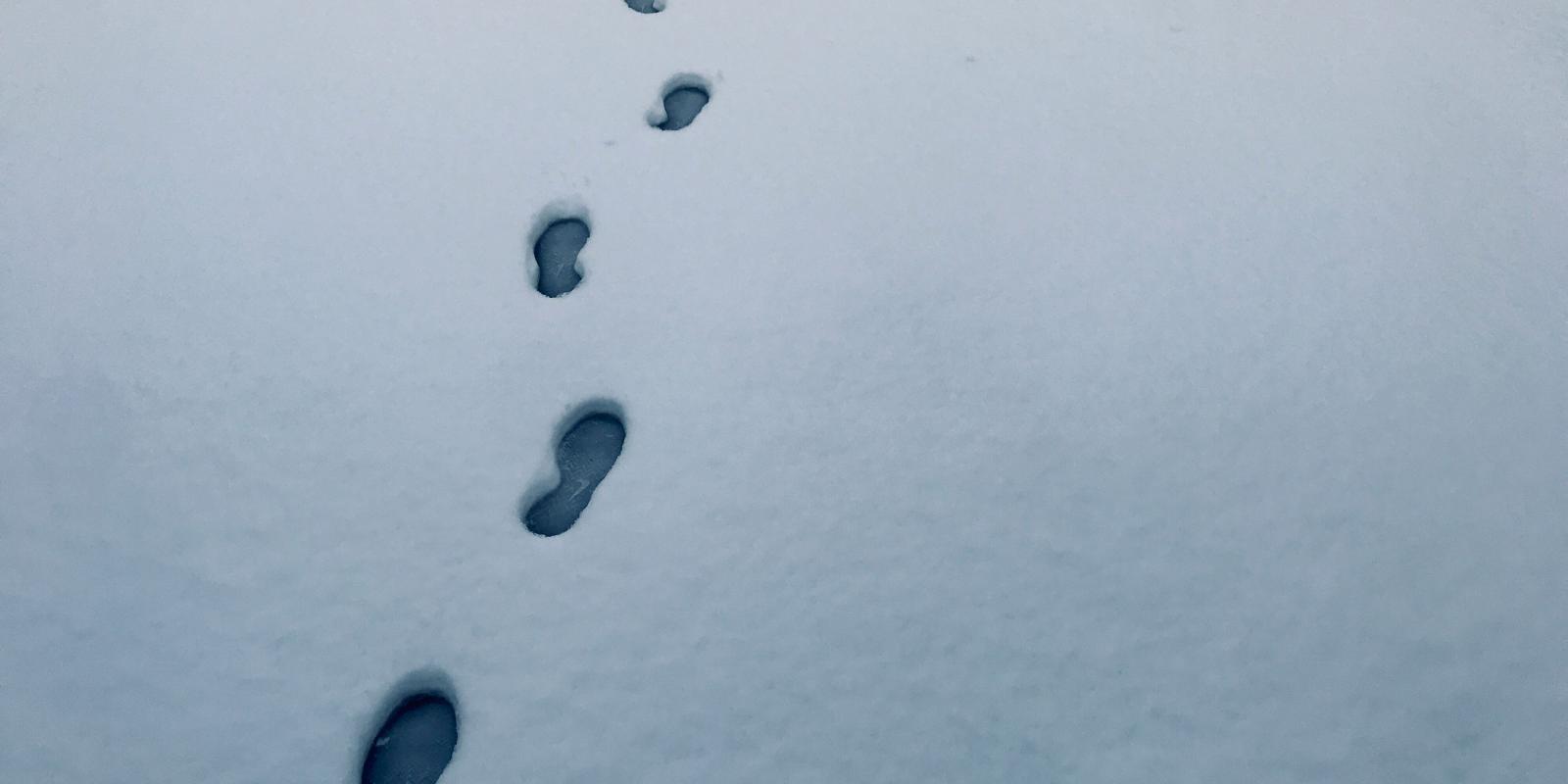 Footprints in Snow
