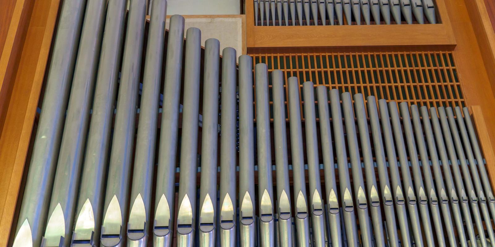 Organ Pipes